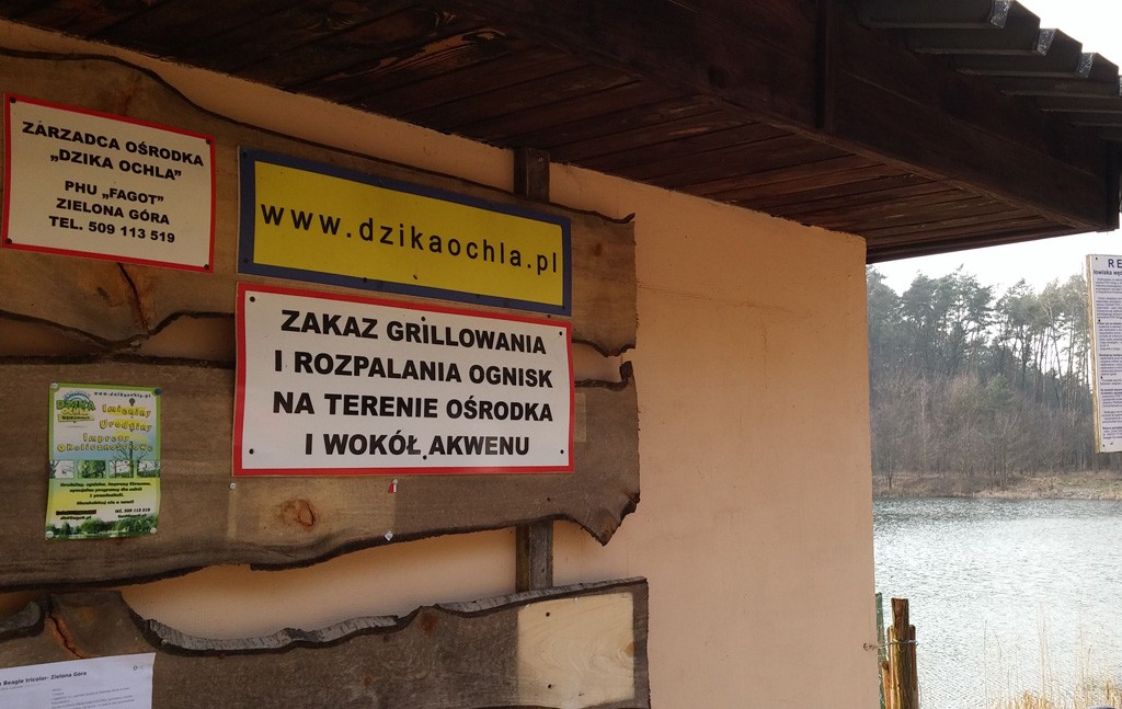 Dzika Ochla_9